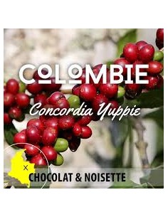CAFE GRAIN COLOMBIE CONCORDIA YUPPIE 250G-PFAFF - Maison Ferrero - Epicerie à Ajaccio