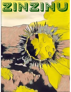 BLANC ZINZINU 2019 1L -NICOLAS MARIOTTI BINDI - Maison Ferrero - Epicerie à Ajaccio