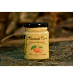 MOUTARDE CORSE CLEMENTINE 120G - Maison Ferrero - Epicerie à Ajaccio