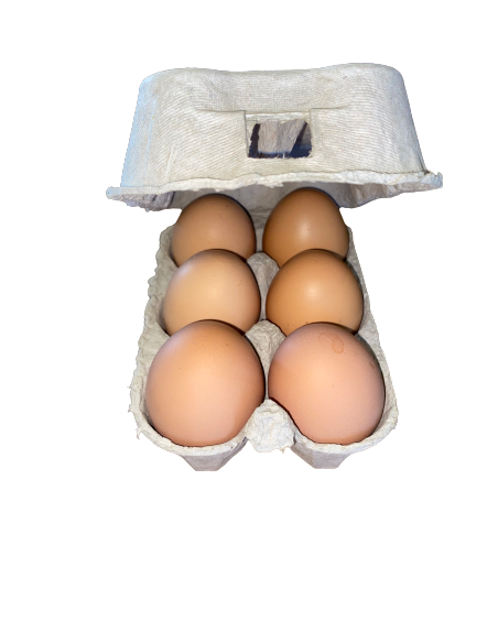 6 OEUFS FRAIS PLEIN AIR FERMIERS LAREDO JL LOPIGNA