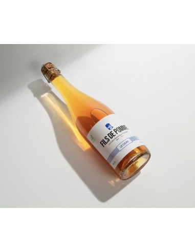 CUVEE LE SAUVAGE CIDRE BRUT BIO 75CL - FILS DE POMME