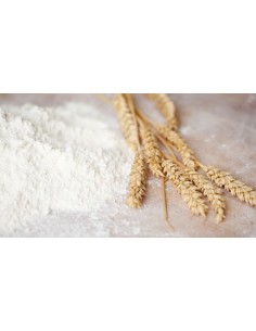 FARINE DE BLE TENDRE TYPE 0 MANITOBA BIO - ANTICO MOLINO... 2