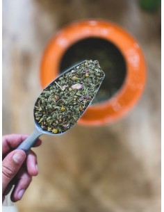 INFUSION MINUIT EN PROVENCE BIO 20 MOUSSELINES  - LE...