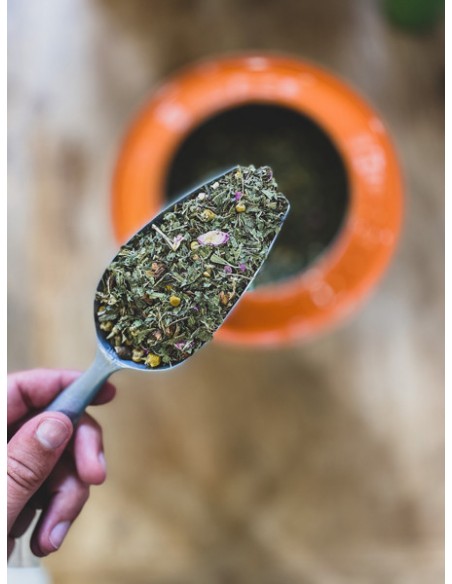 INFUSION MINUIT EN PROVENCE BIO 20 MOUSSELINES  - LE PARTI DU THE