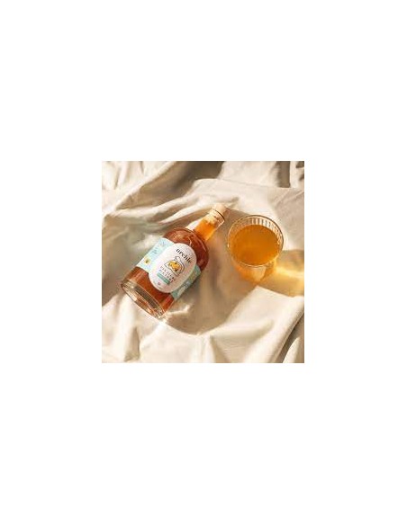 FIOLE VINAIGRE BRUT DE CIDRE BIO AVEC SA MERE 20ML - ARCHIE