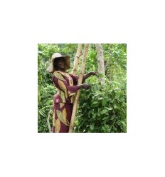 POIVRE PENJA BLANC- TERRE EXOTIQUE - Maison Ferrero - Epicerie à Ajaccio 2