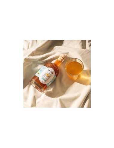 VINAIGRE BRUT DE CIDRE BIO AU MIEL DE MONTAGNE...