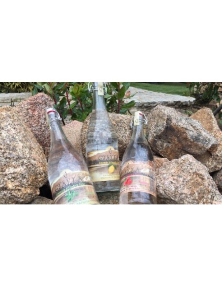 LIMONADE CORSE FRAISE BASILIC GIALLA 33CL